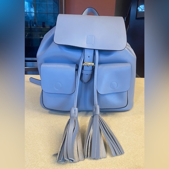 KC JAGGER Light Blue Leather Backpack w/Detachable Insert Pouch, EUC (Like New) main image 16